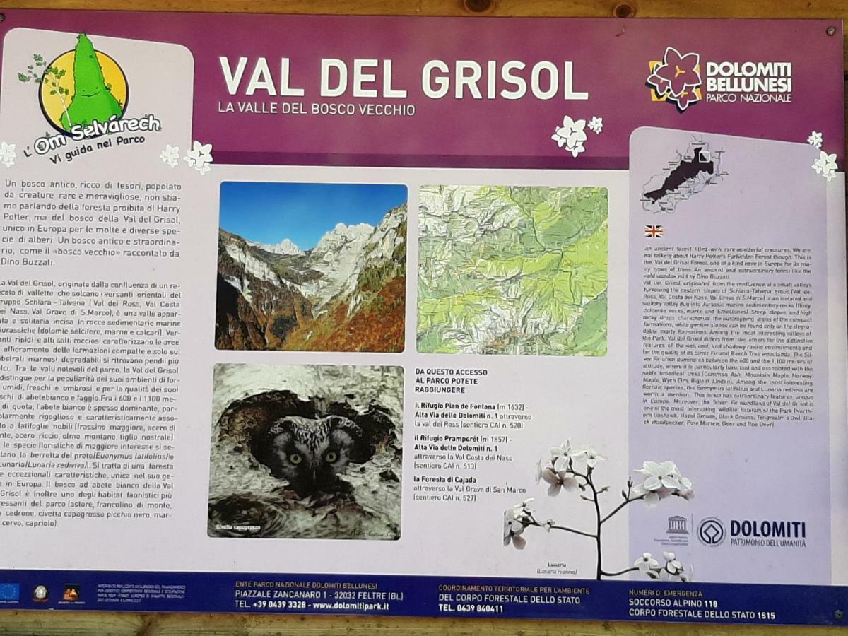 شقة Kalipe Dolomiti Soffranco المظهر الخارجي الصورة